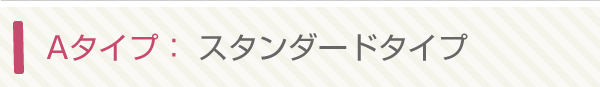 Aタイプ：スタンダードタイプ
