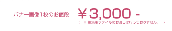 バナー画像1枚のお値段3000円