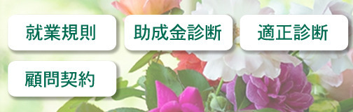 社労士・行政書士中村優子法務事務所様