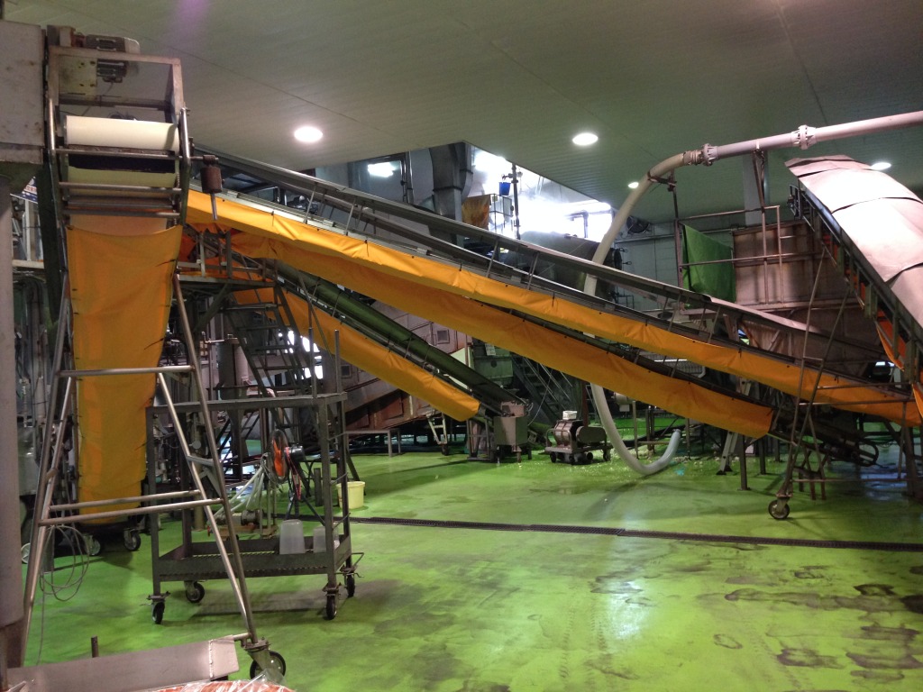 2014-07-24 13.07.14.jpg