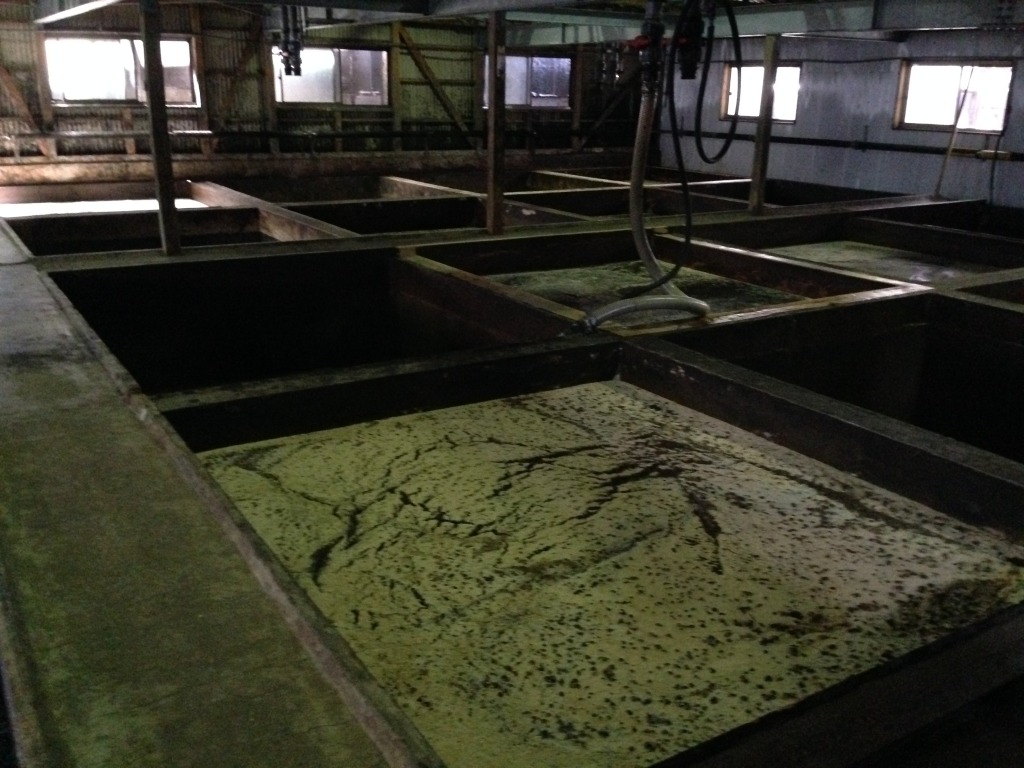 2014-07-24 13.18.14.jpg