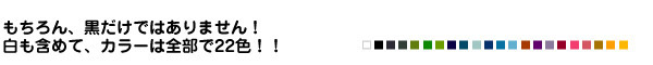 もちろん、黒だけではありません。白も含めて、カラーは全部で22色