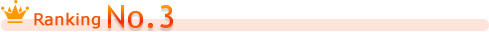 ランキング3位